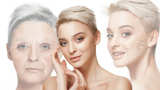 Shutterstock 1852726816