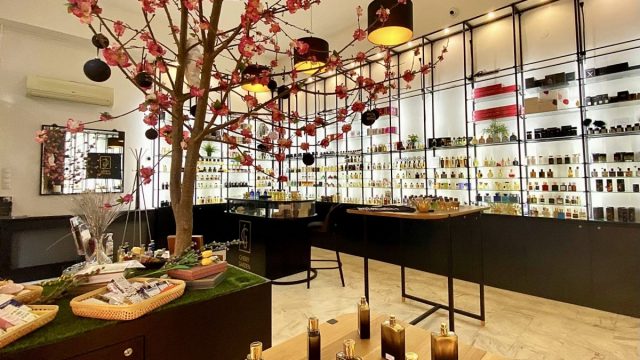 Cherrygarden1