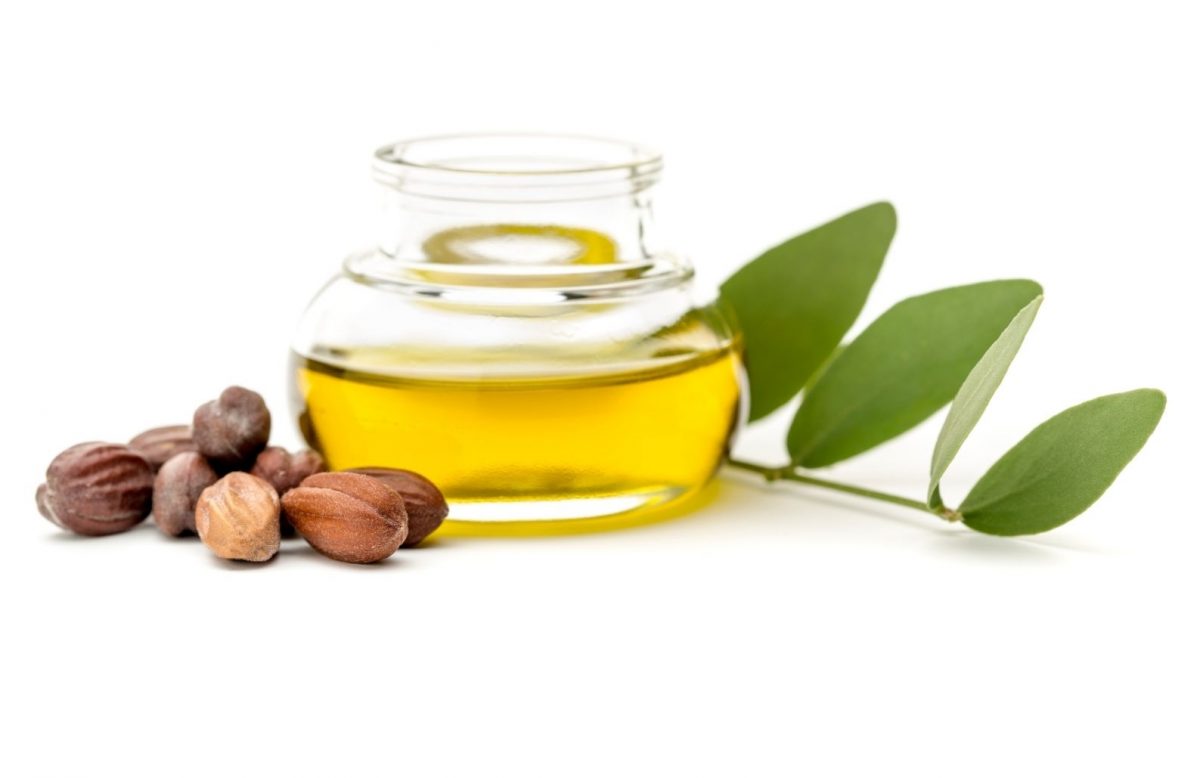 Jojoba