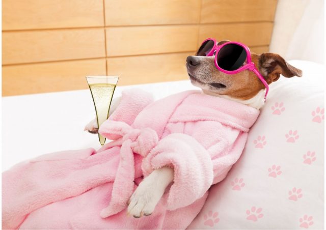 Relax