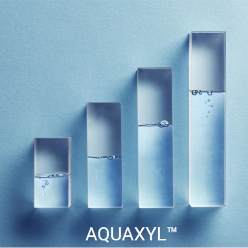 Aquaxyl
