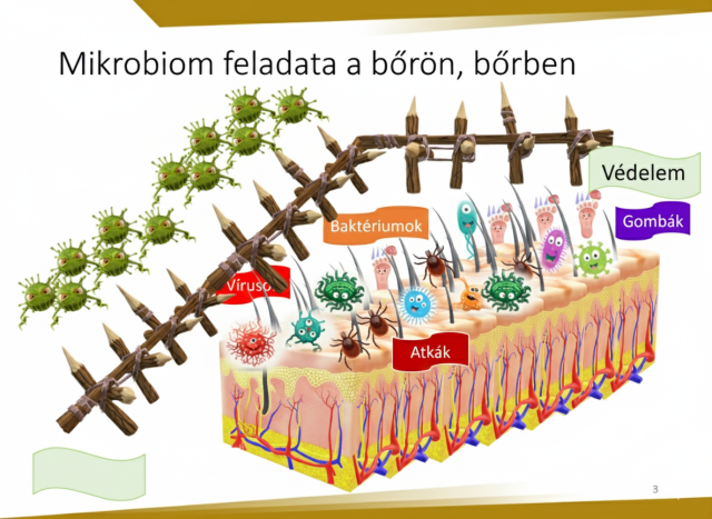 Mikrobiom