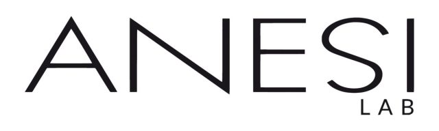 Anesilab Logo Cb305132 7d46 40b6 951c 3afe5a5e2aff