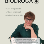 Képernyőkép 2026 07 17 080647